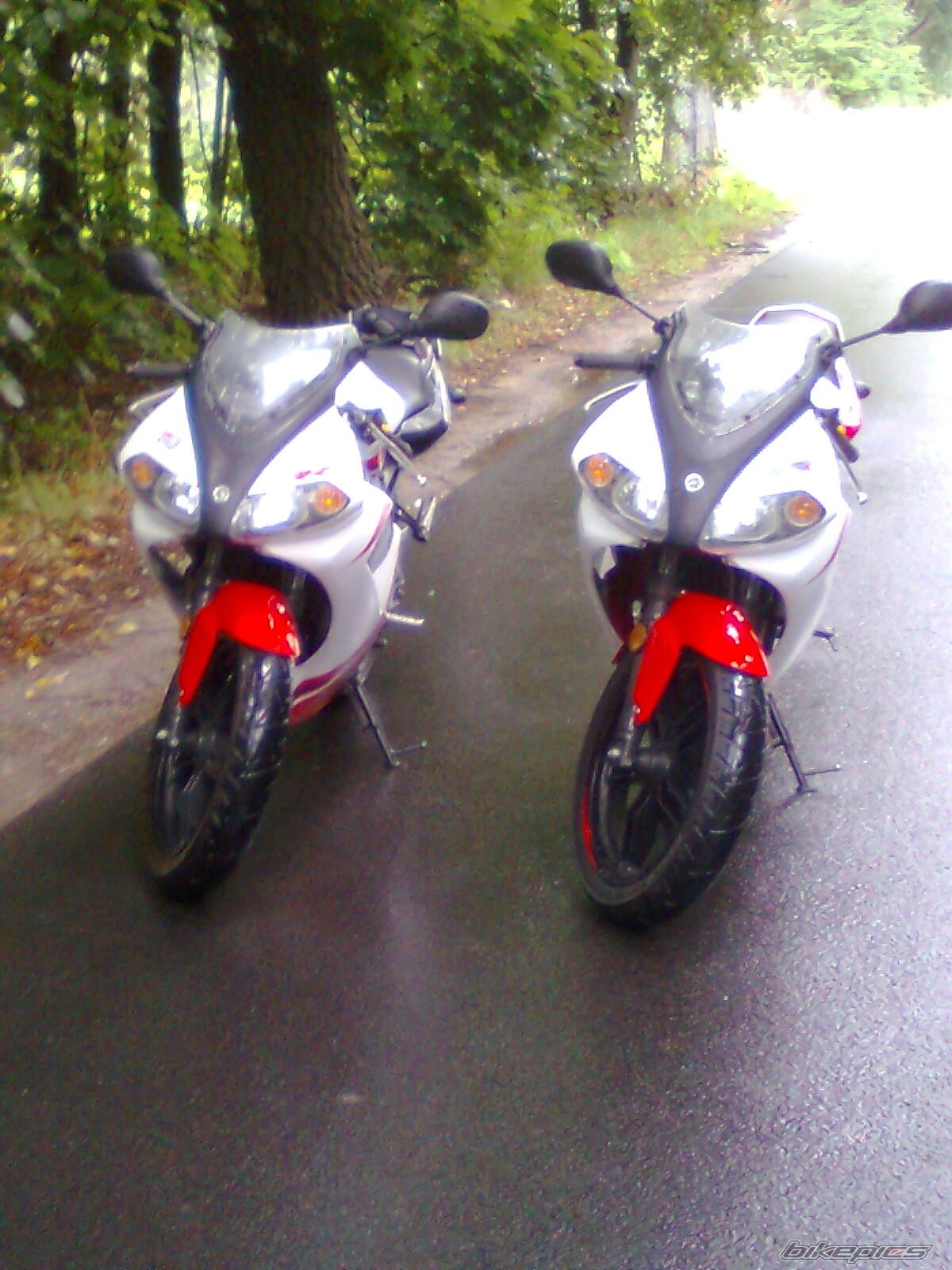 Photo 2179703