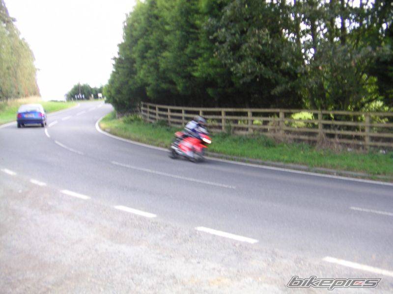 Photo 217972