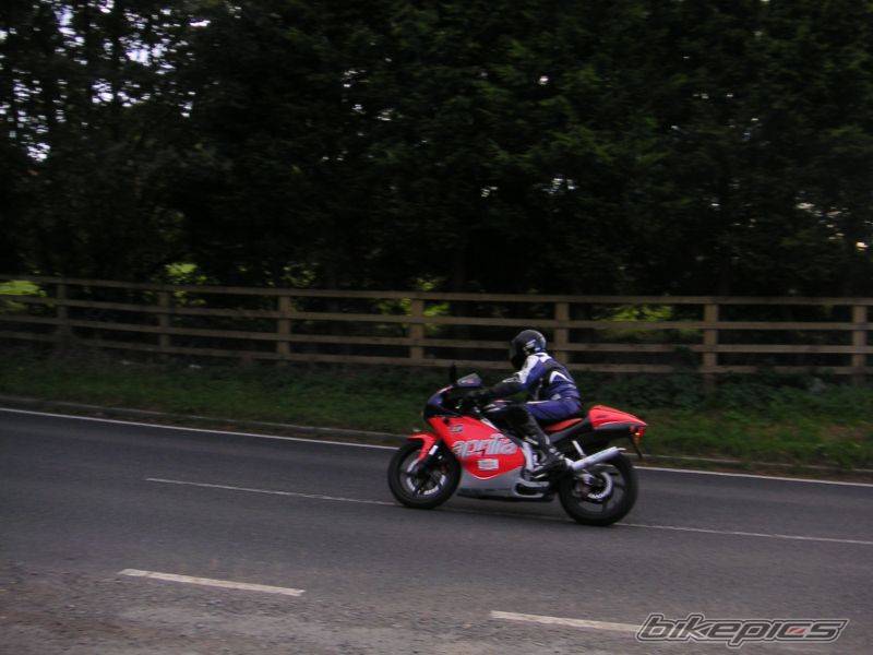 Photo 217973