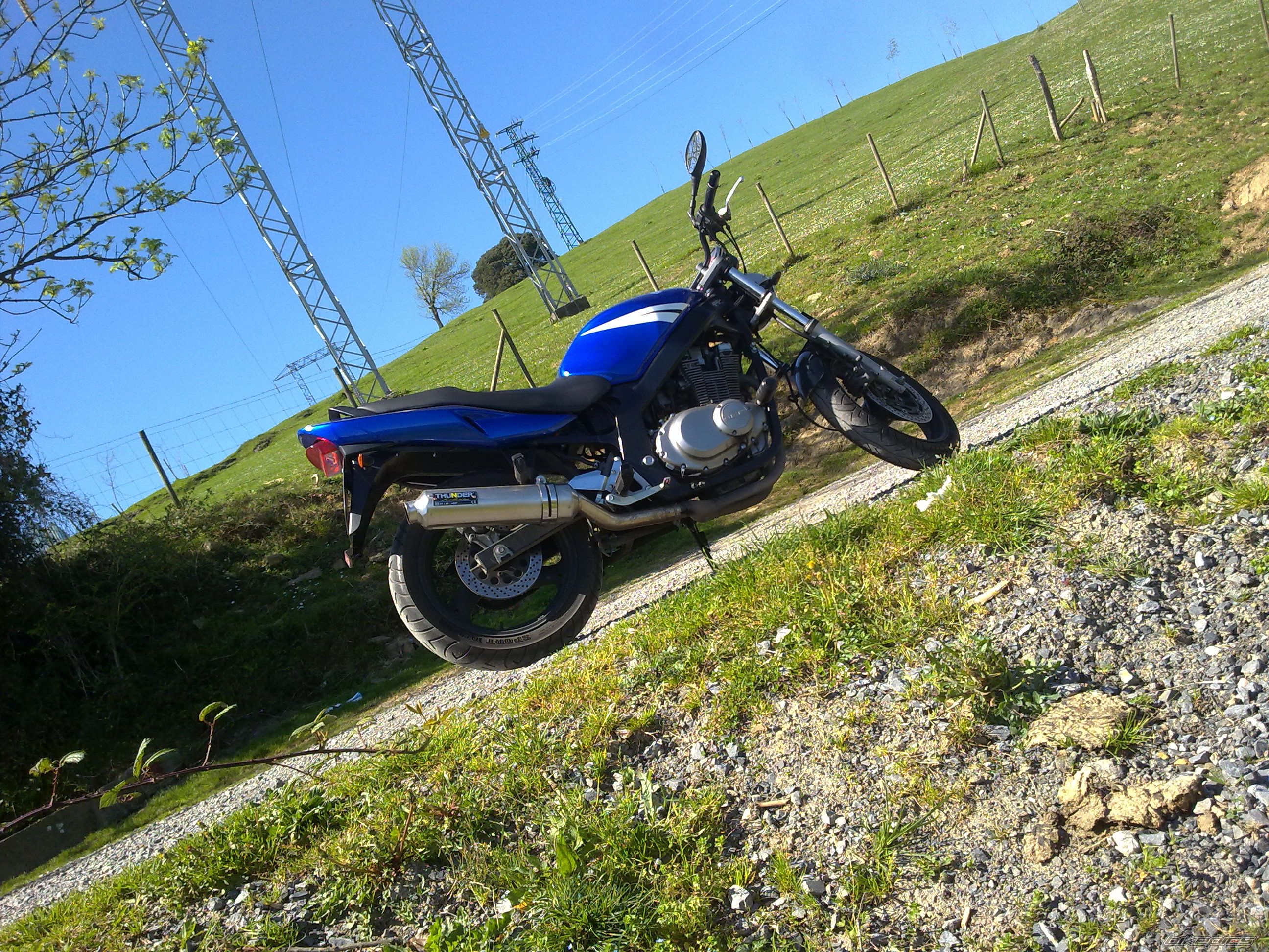 Photo 2179771