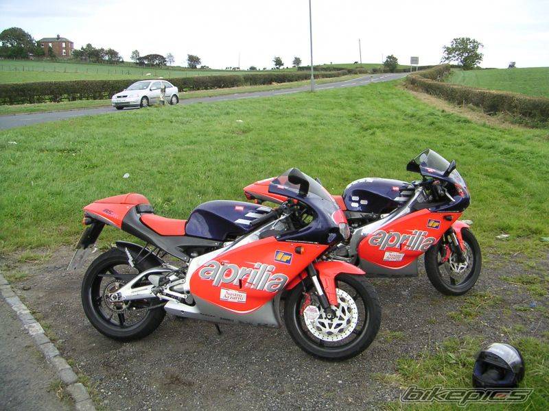 Photo 217979