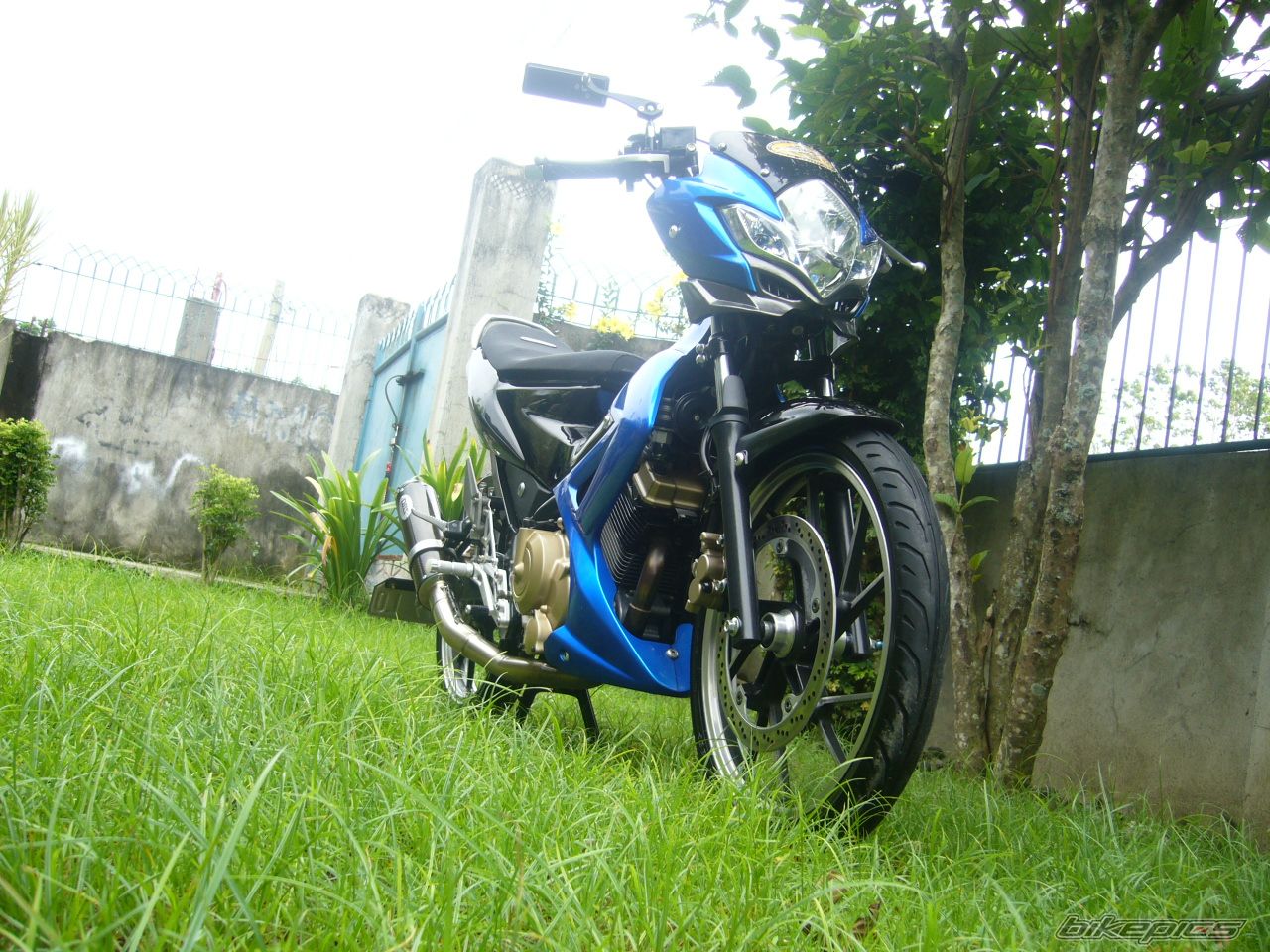 Photo 2179798