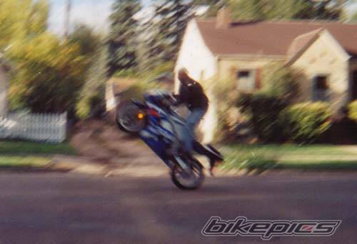 Photo 21798