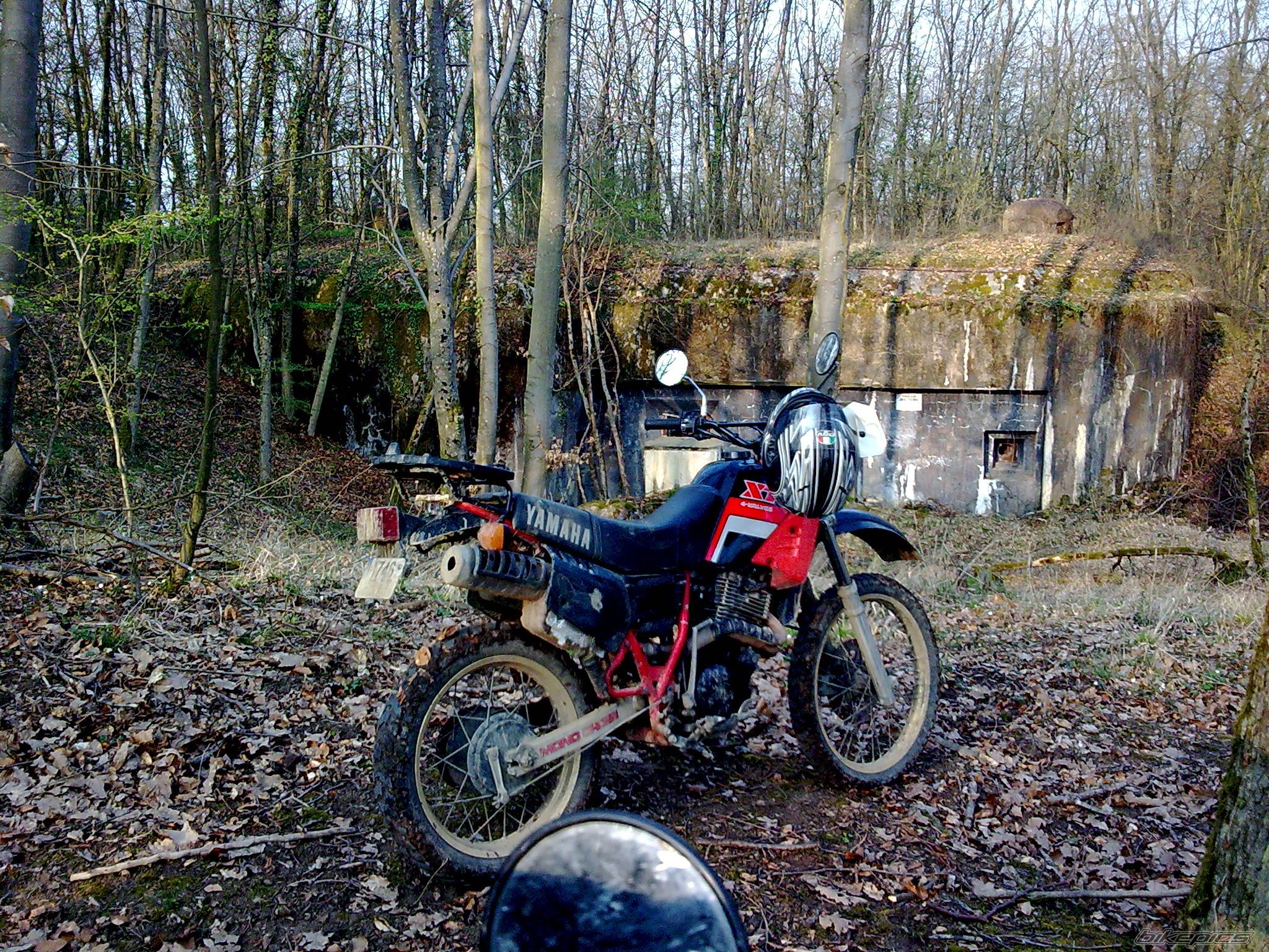 Photo 2179825