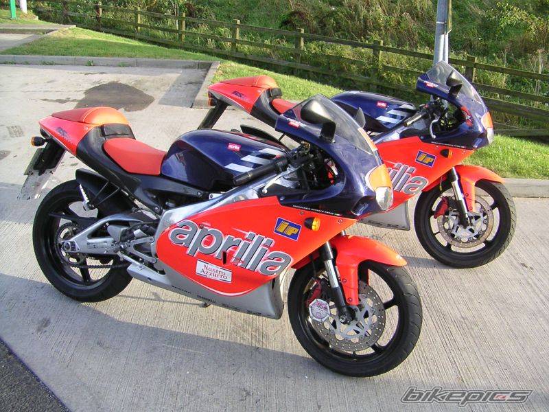 Photo 217984