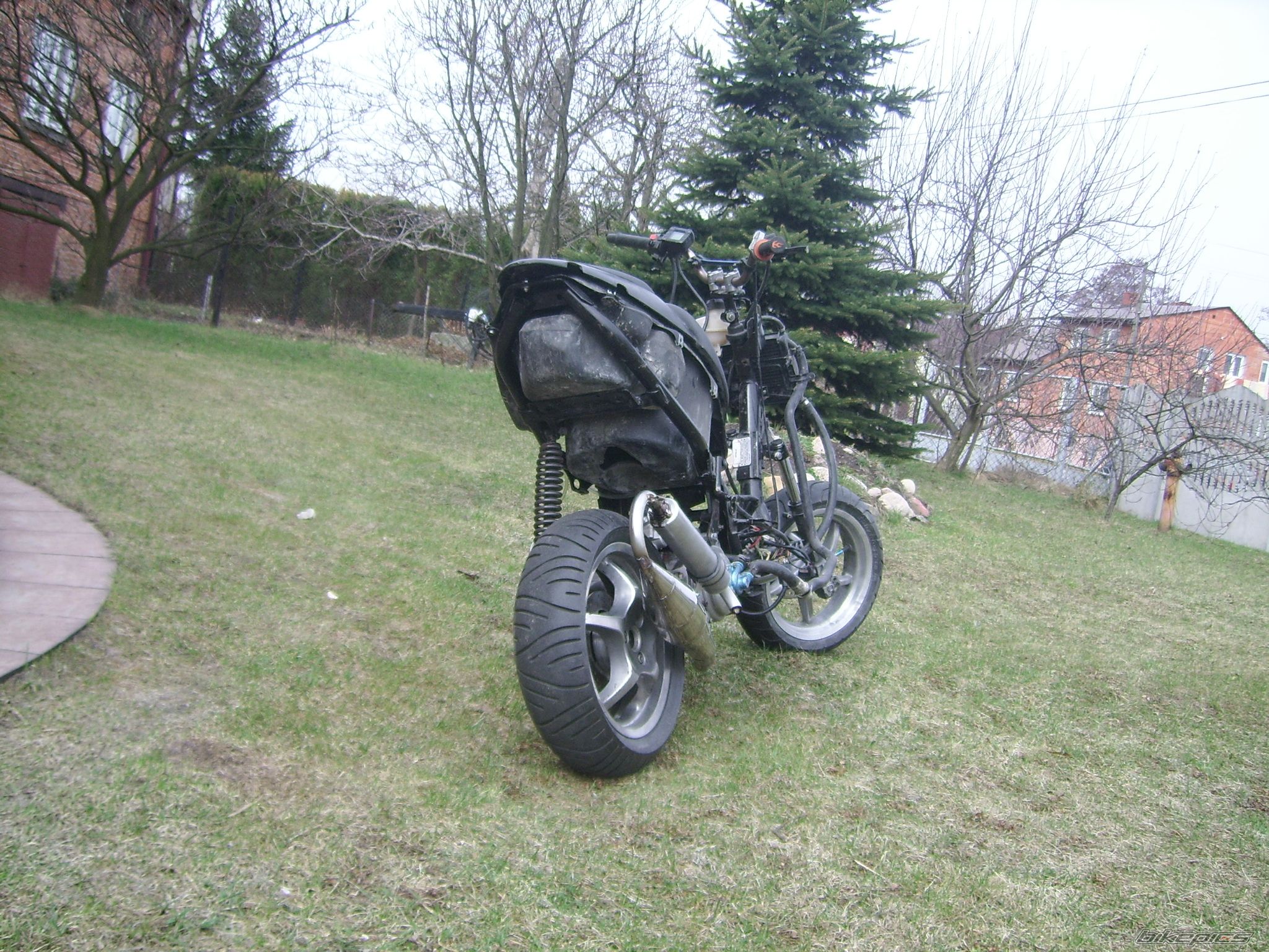 Photo 2179869