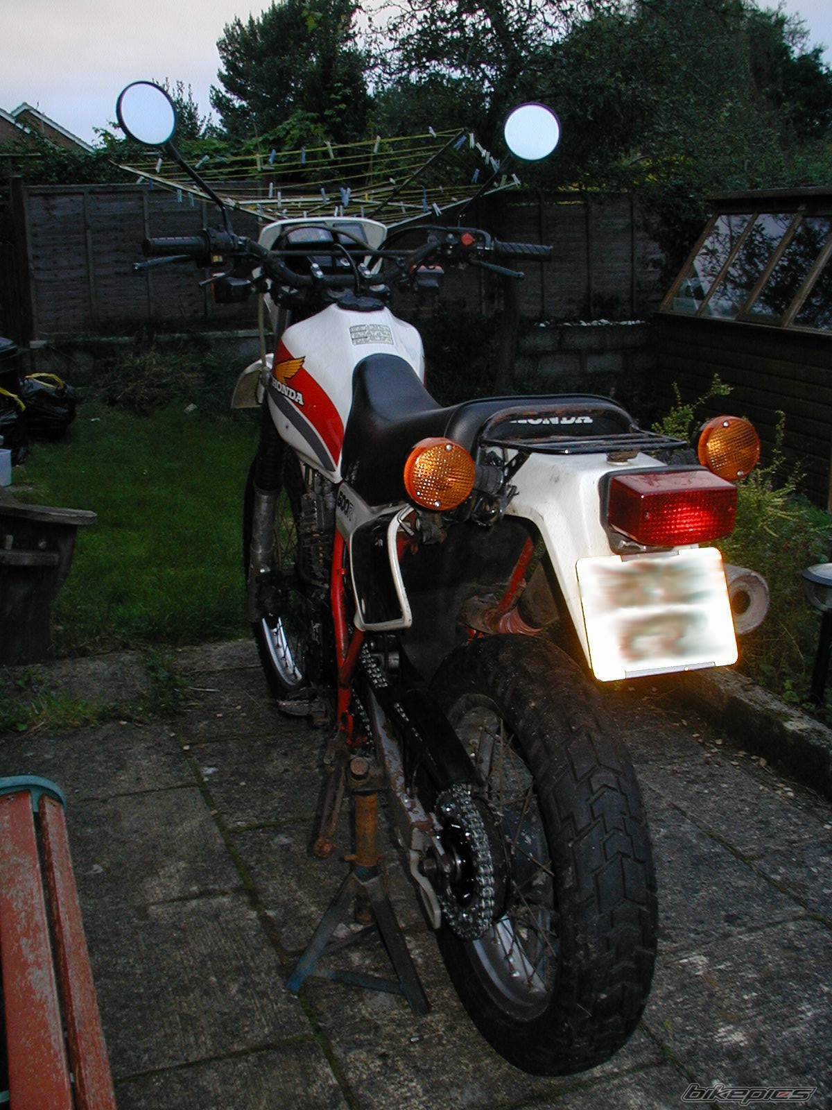 Photo 217991