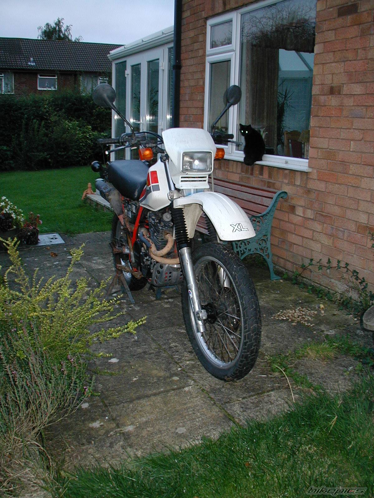 Photo 217992