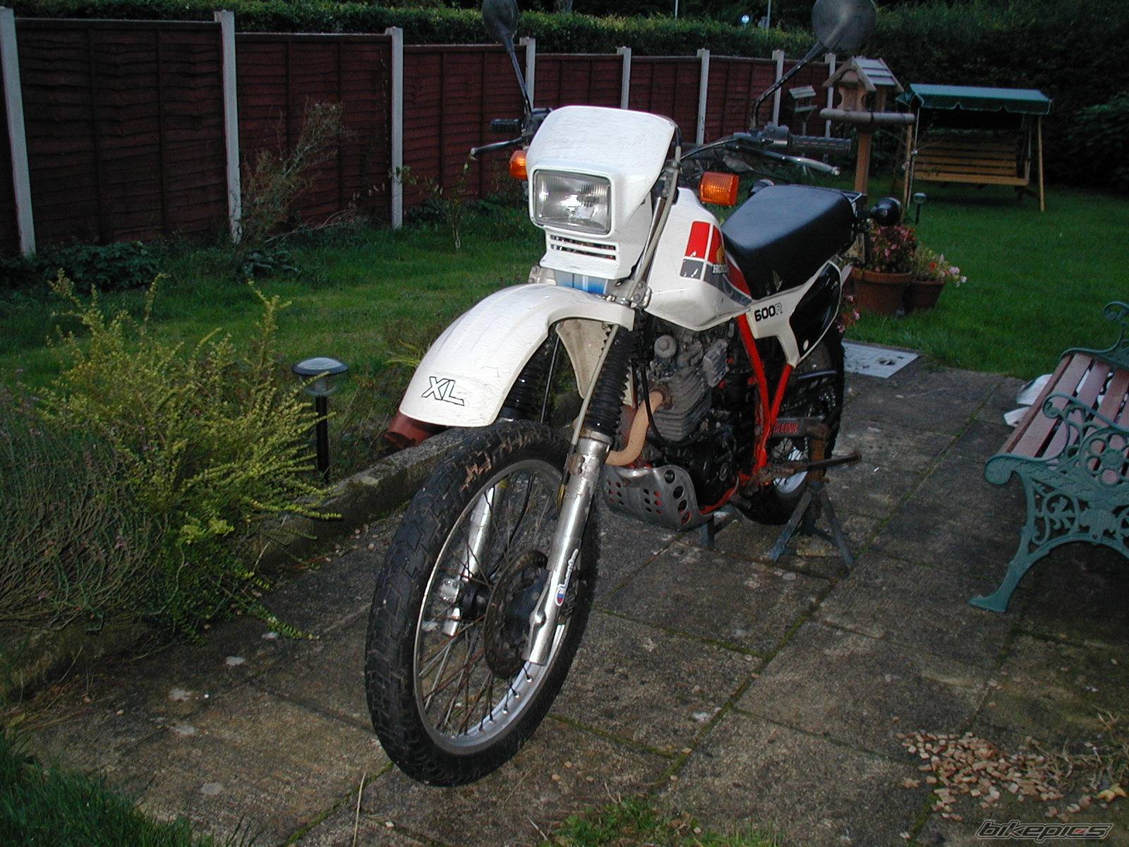Photo 217997