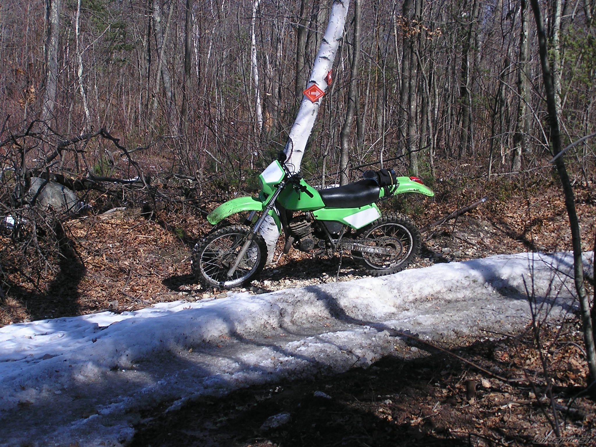 Photo 2179979