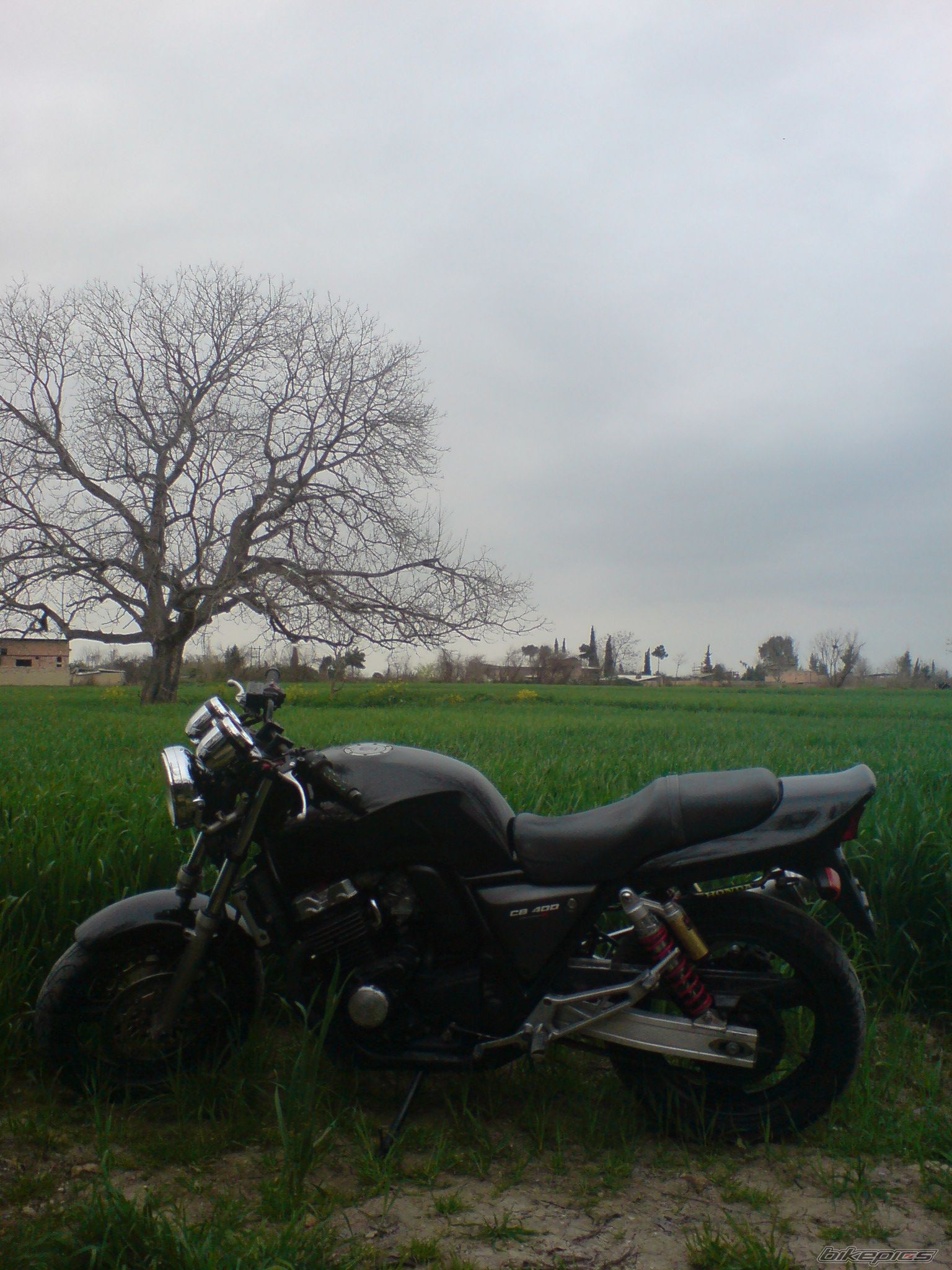 Photo 2180013