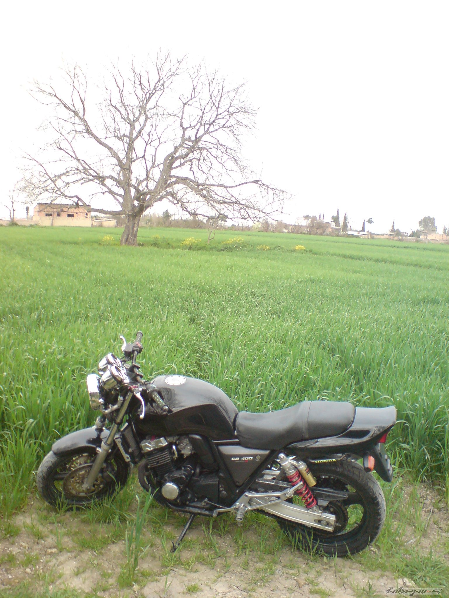 Bike Photo 2180016