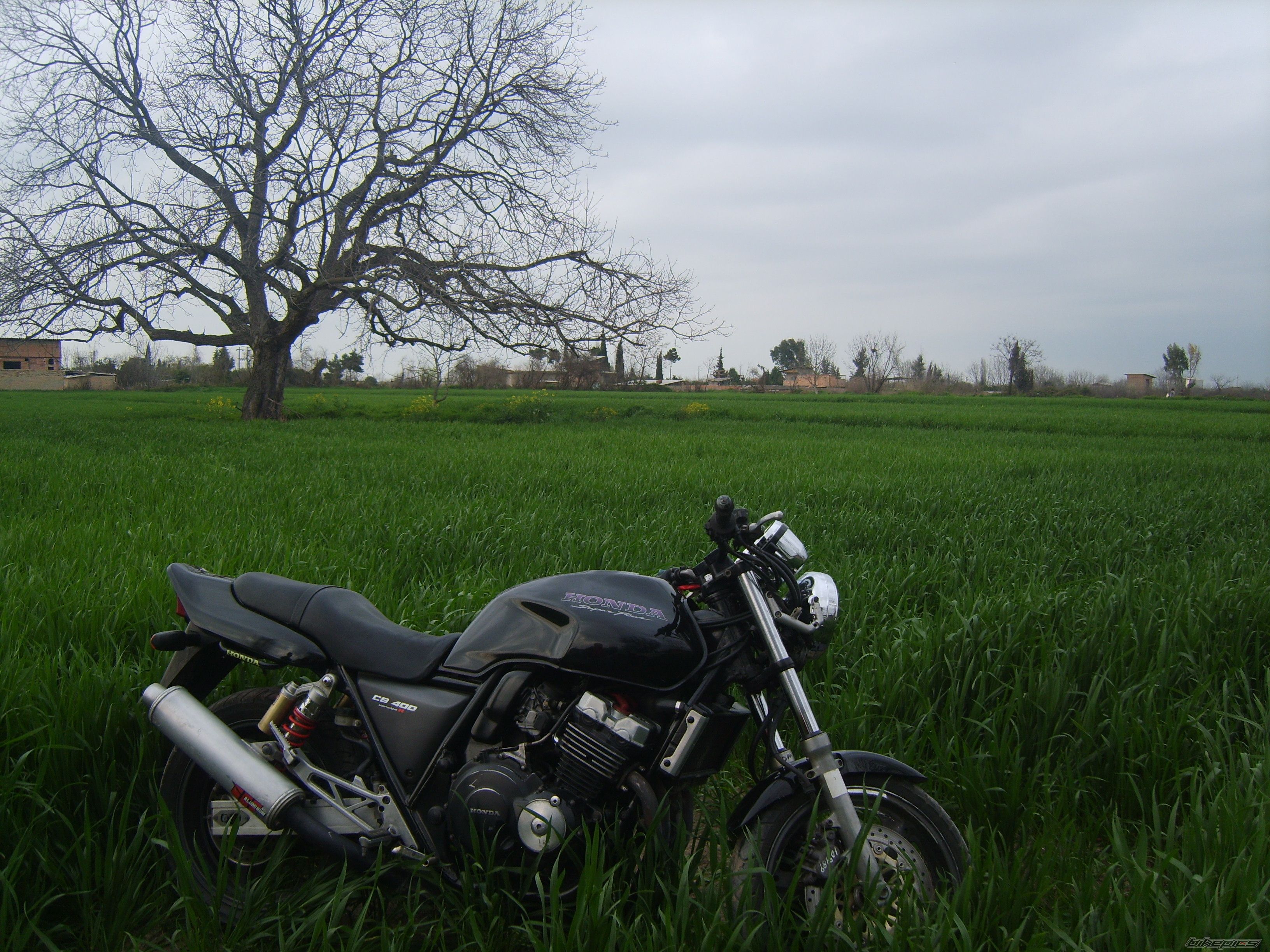 Photo 2180029