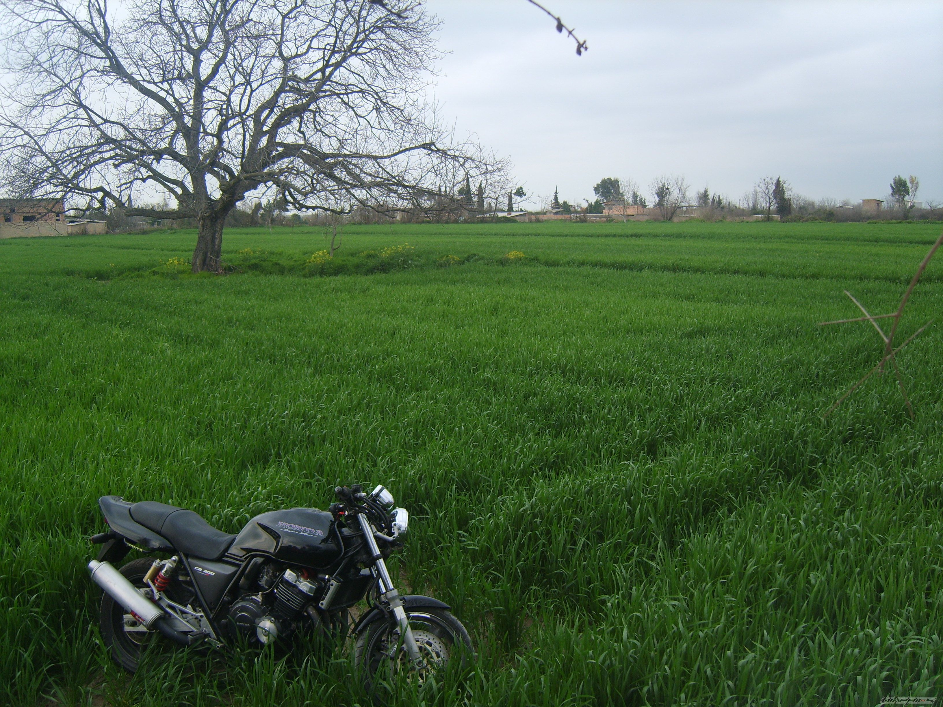 Bike Photo 2180030