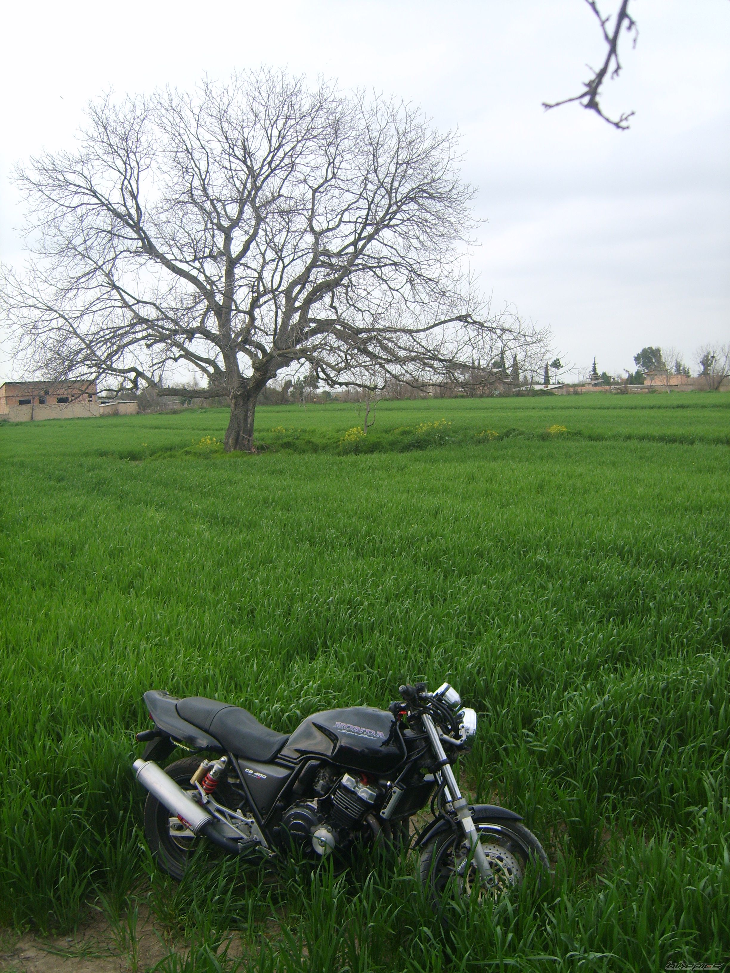 Bike Photo 2180031