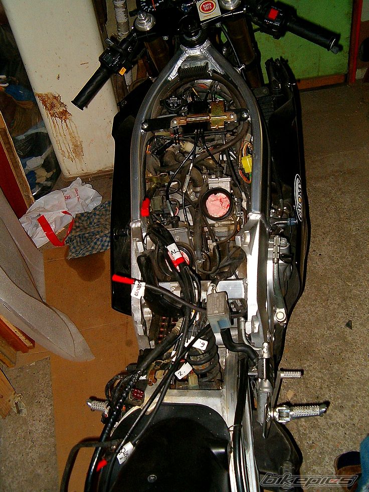 Photo 2180059