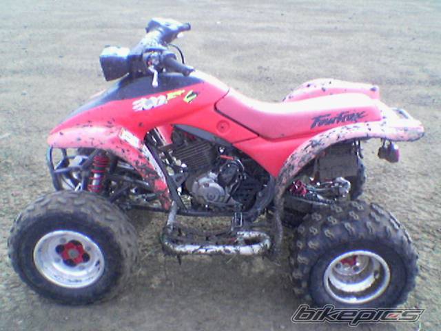 Photo 218009