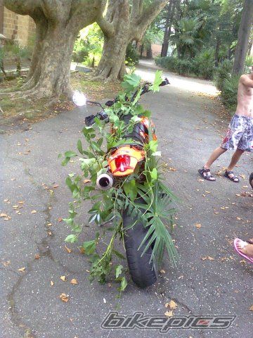 Photo 2180262