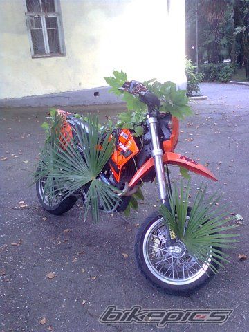 Photo 2180263