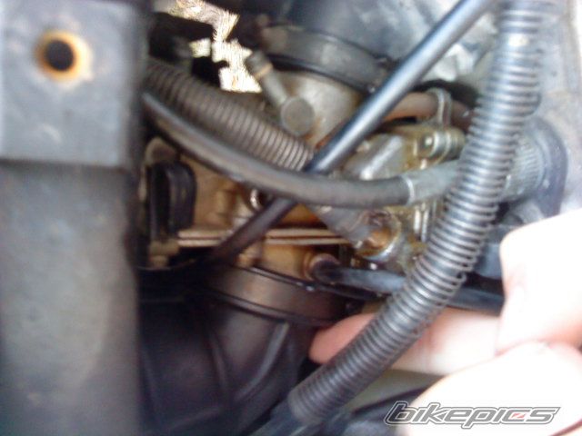 Photo 2180797
