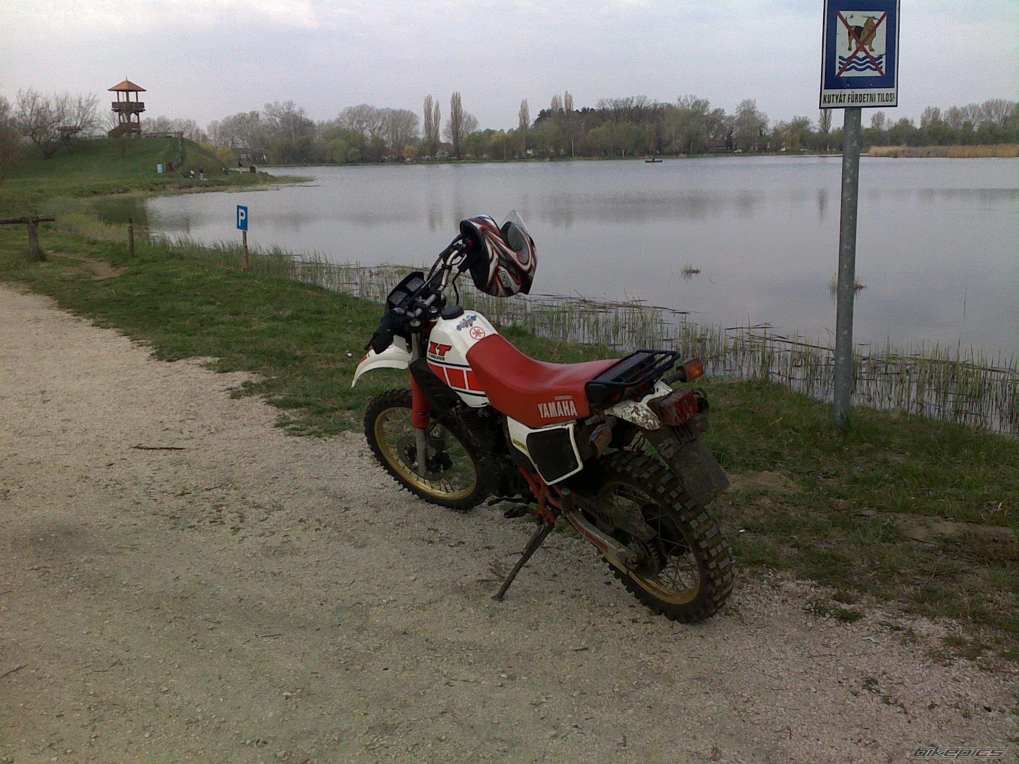 Photo 2180940