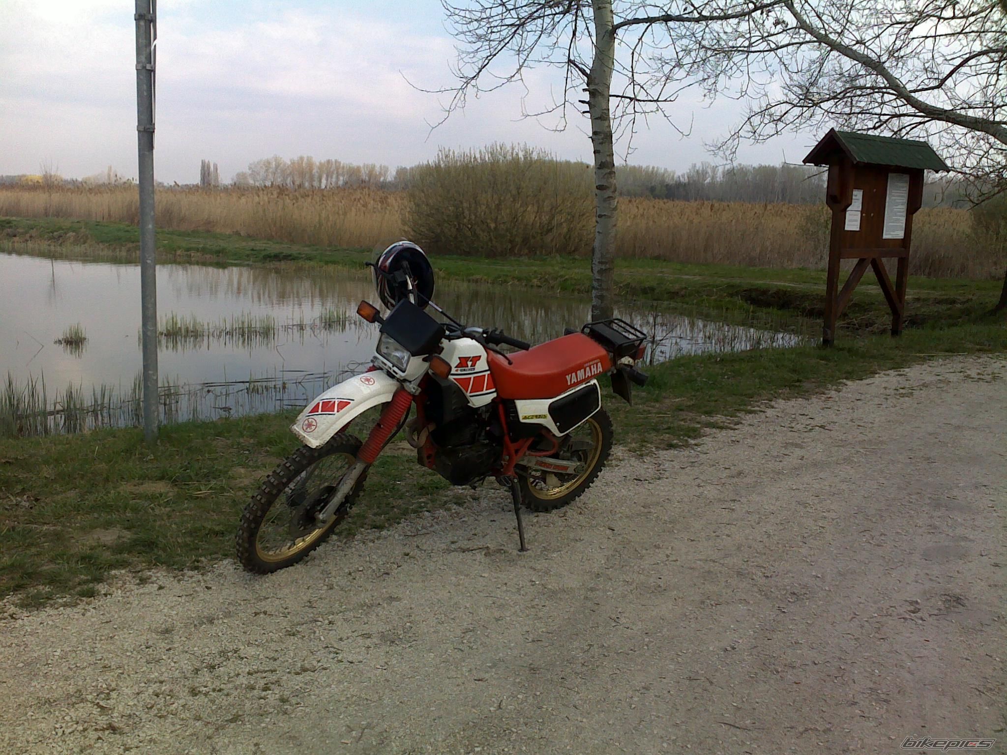 Photo 2180945
