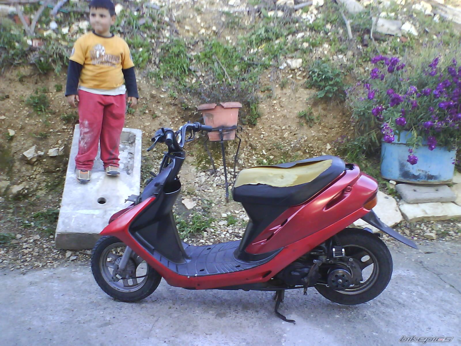 Photo 2180958