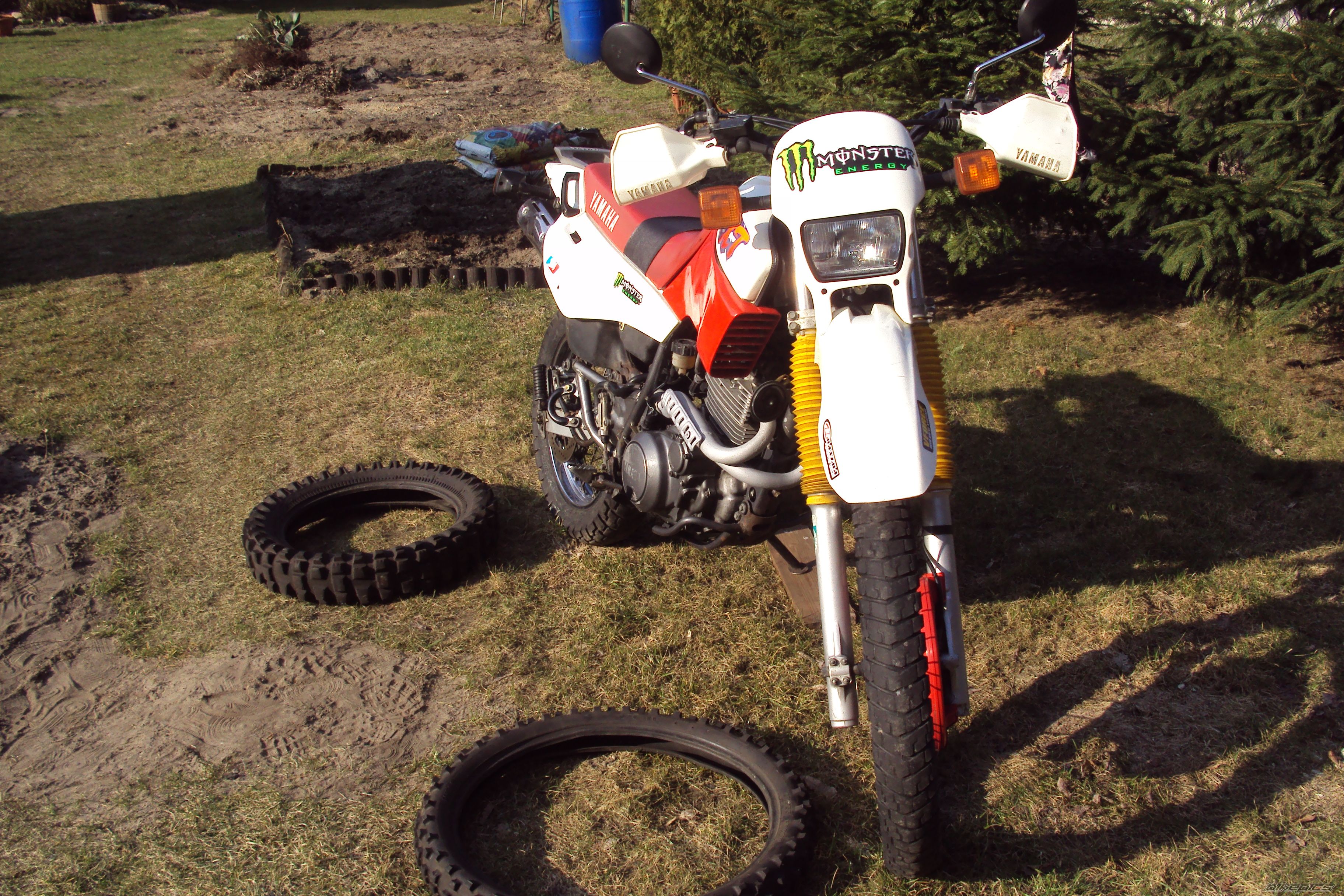 Bike Photo 2181122