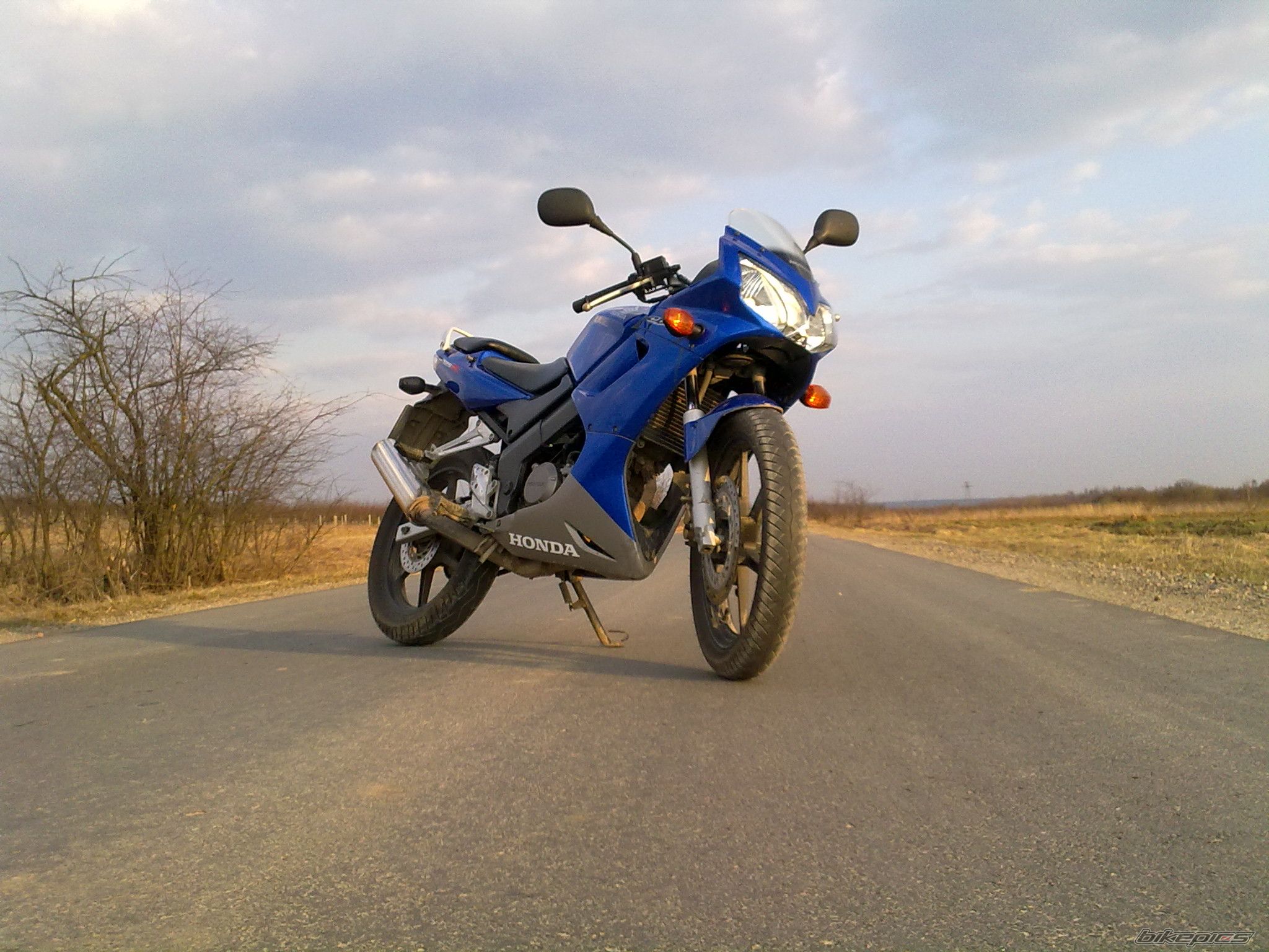 Photo 2181256