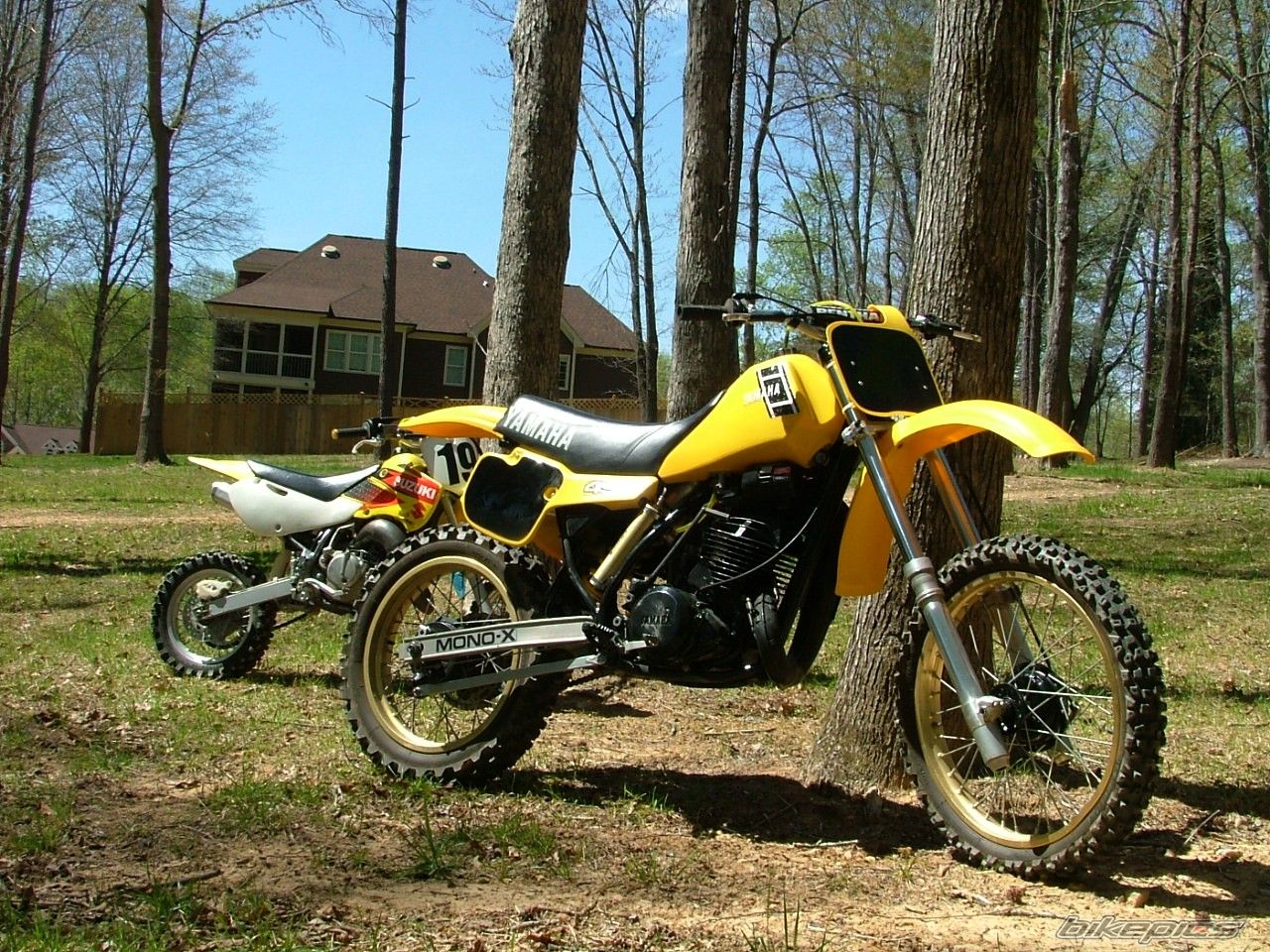 Photo 2181293