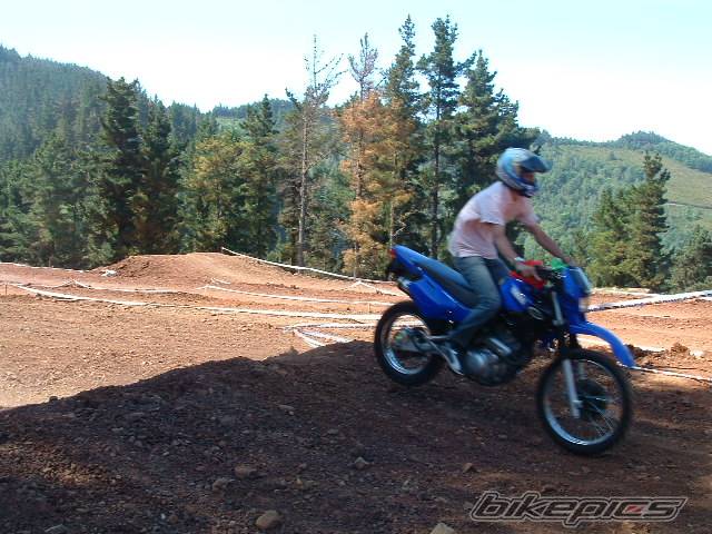 Photo 218132