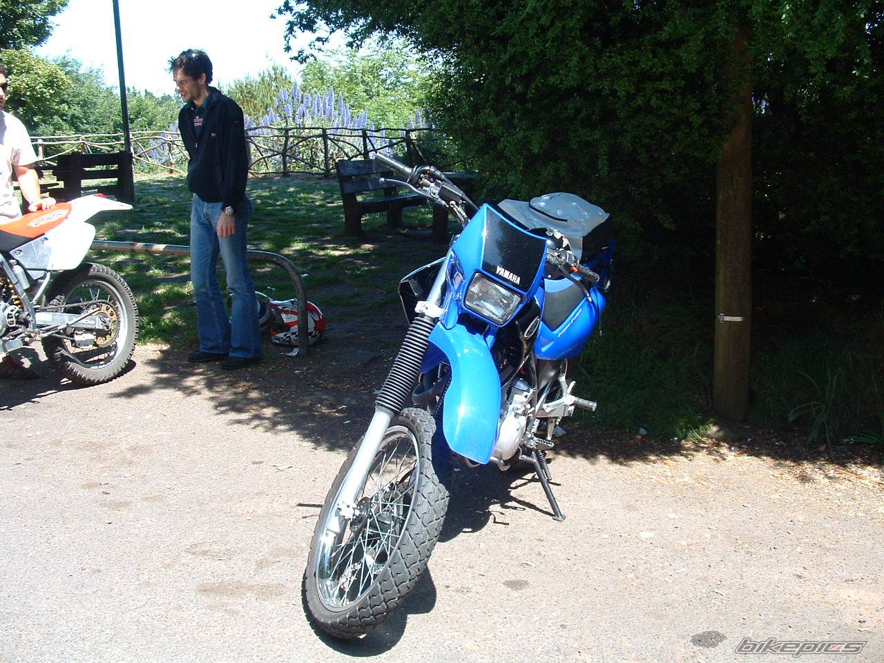 Photo 218136