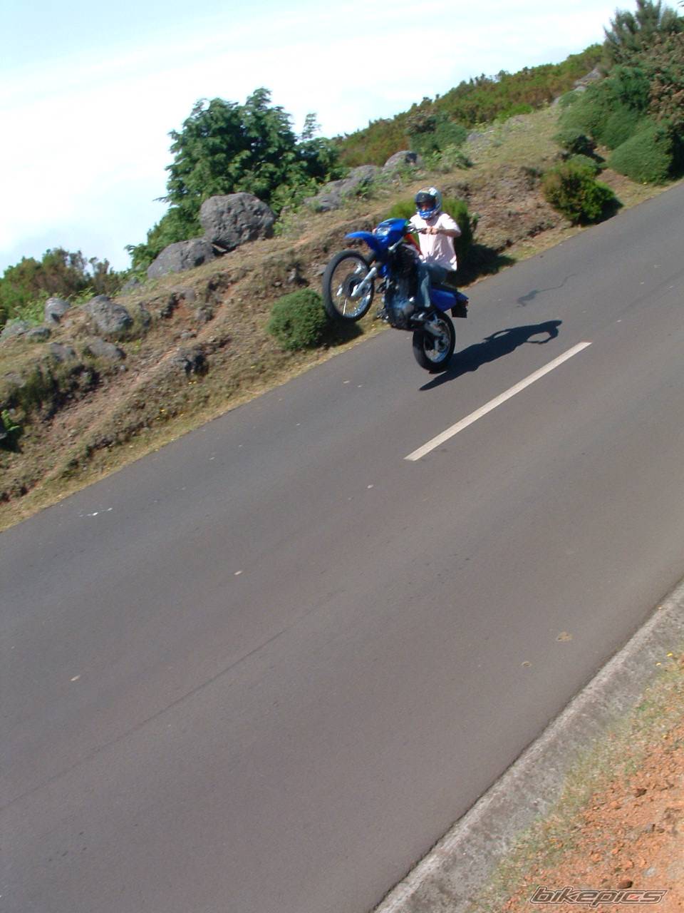 Photo 218137