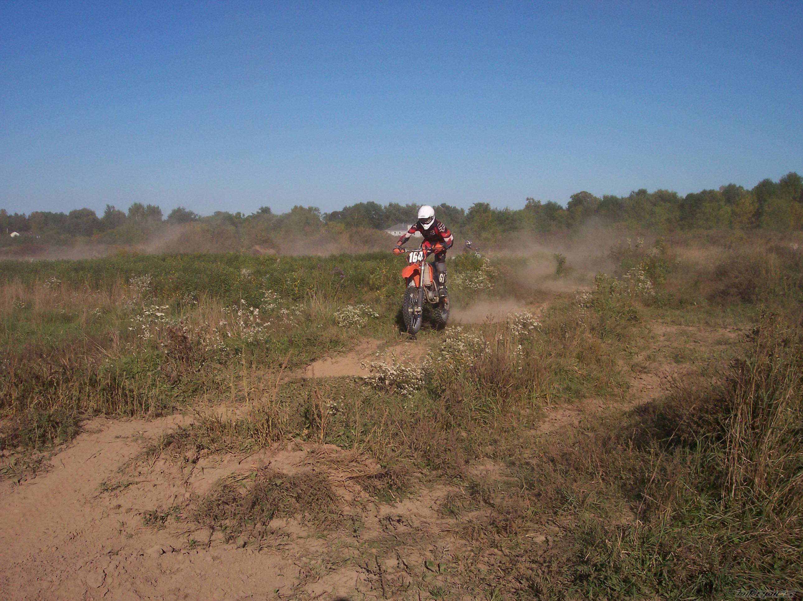 Photo 218139