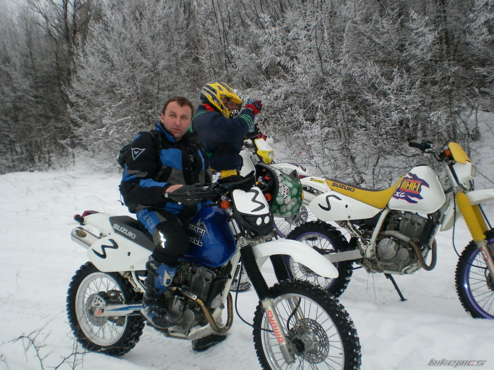 Photo 2181447