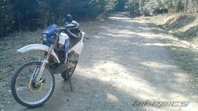 Photo 2181478