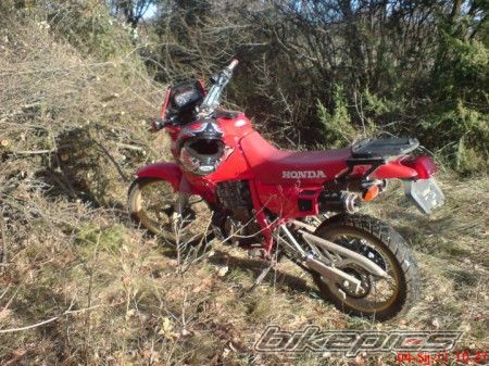Photo 2181645