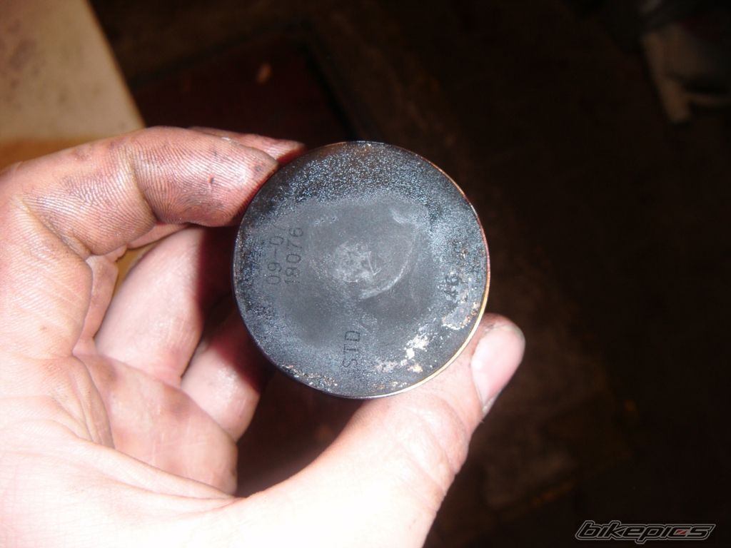Photo 2181942