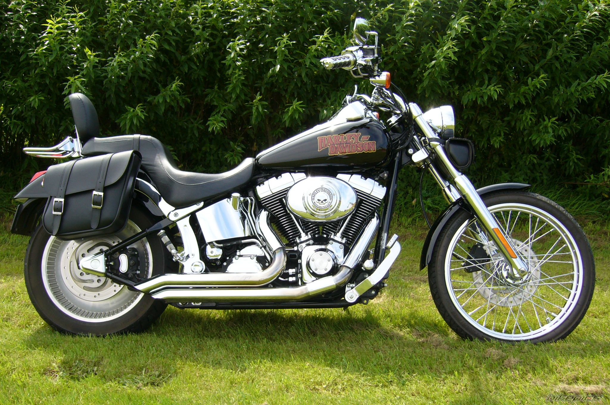 Photo 2182005