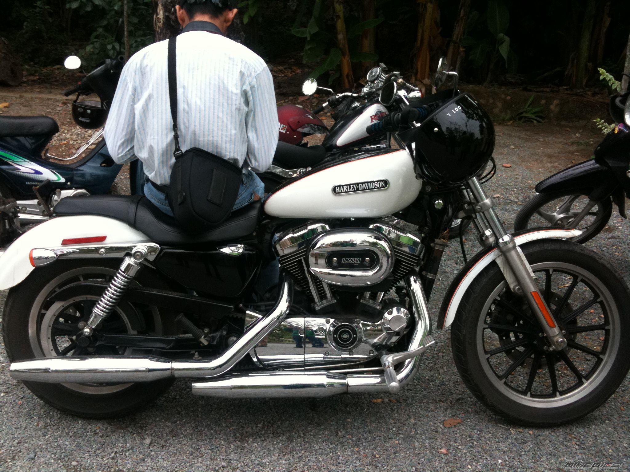 Photo 2182055