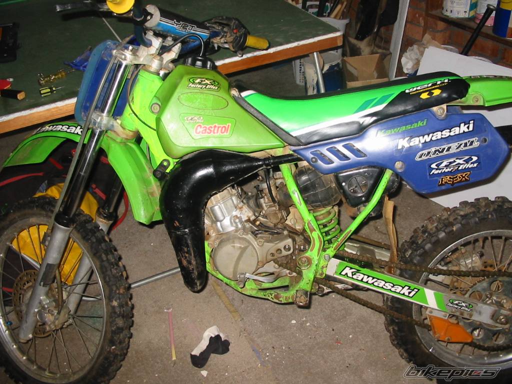 Photo 218206