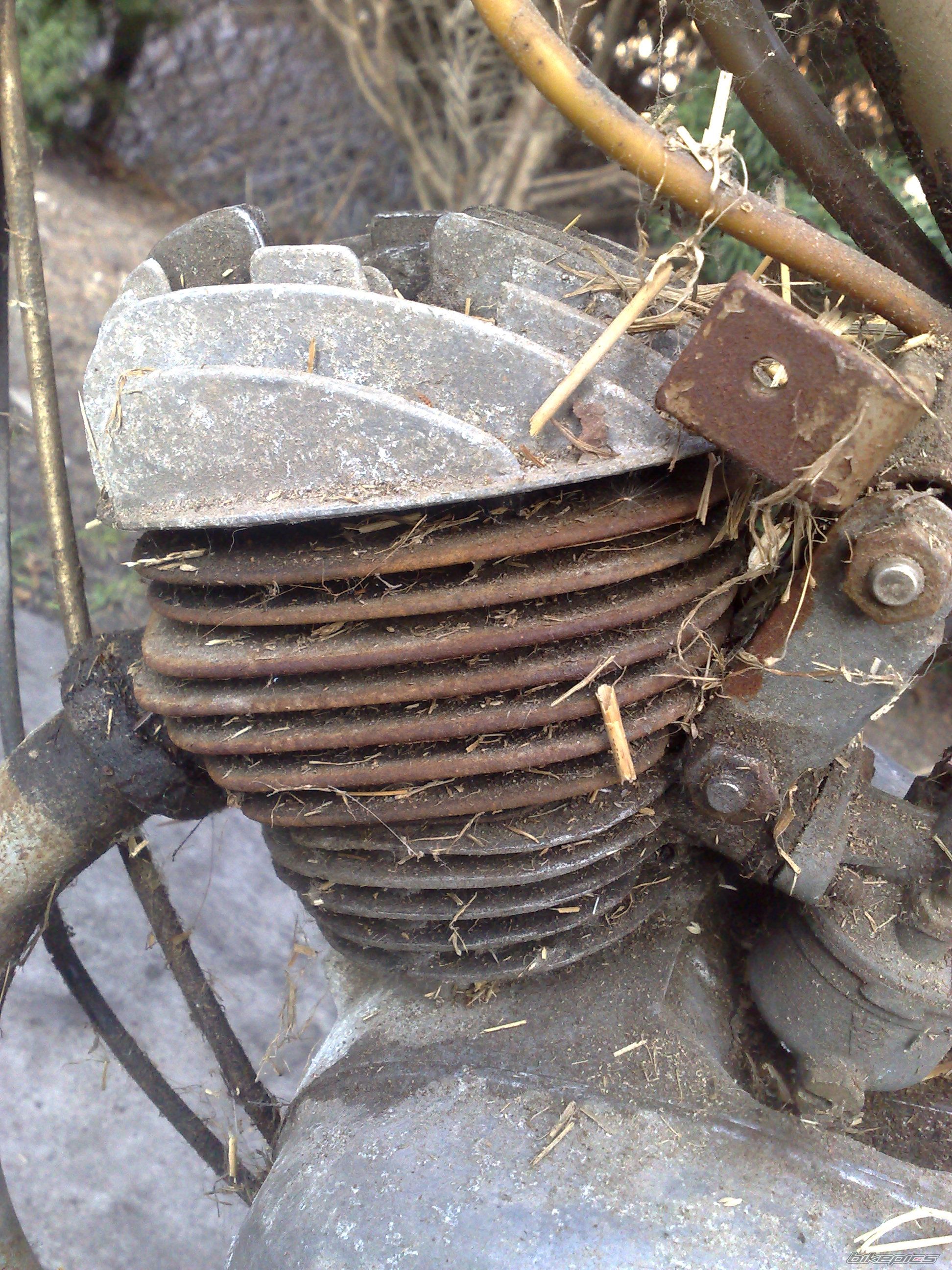 Photo 2182428