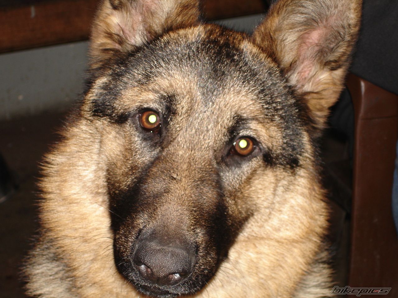 Photo 2182445