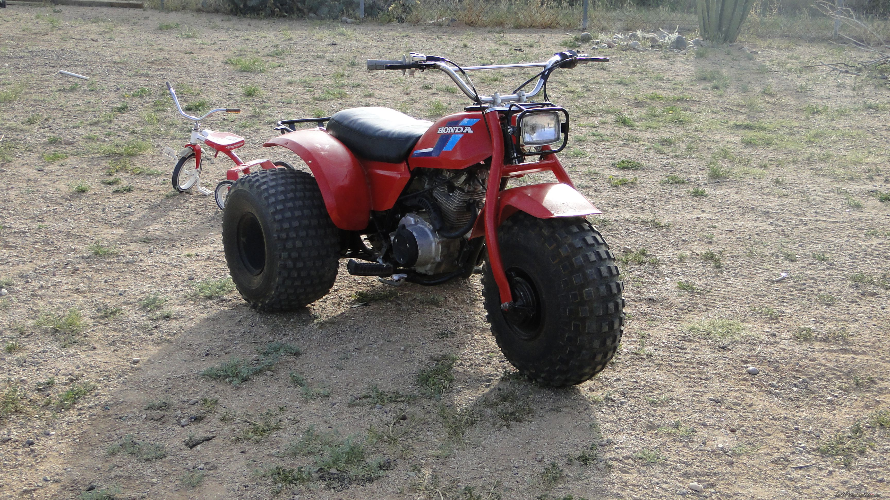 Photo 2182587