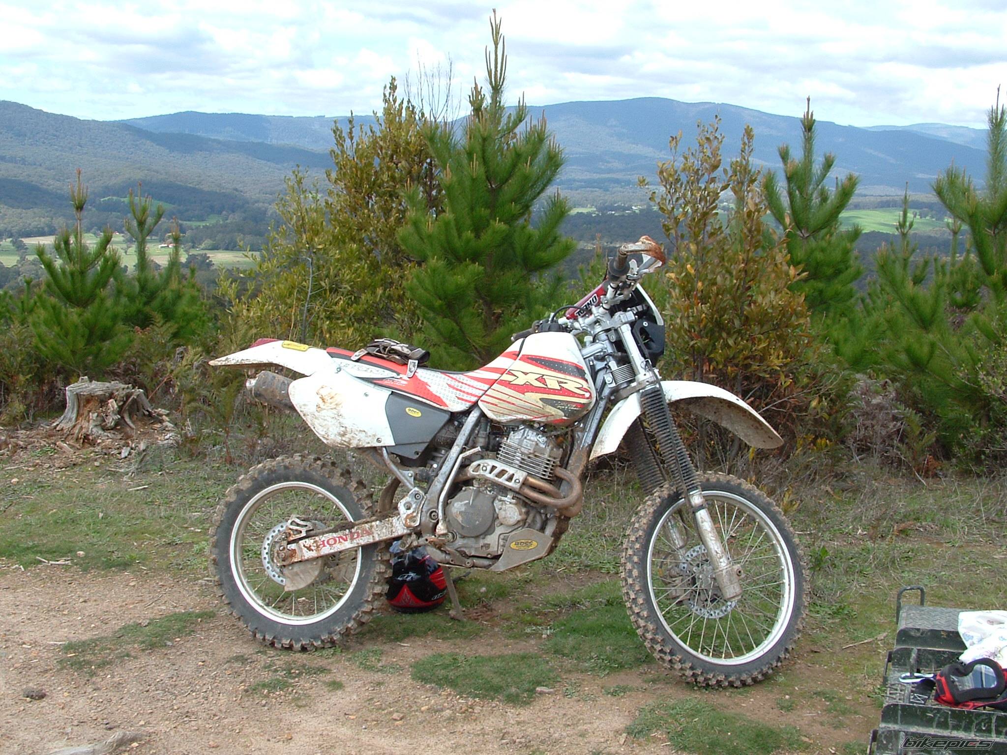 Photo 218263