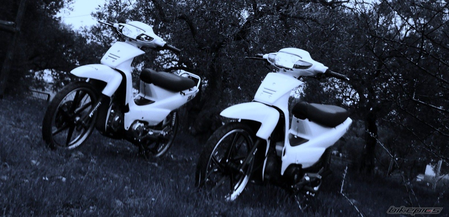 Photo 2183035