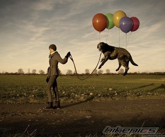 Photo 2183066