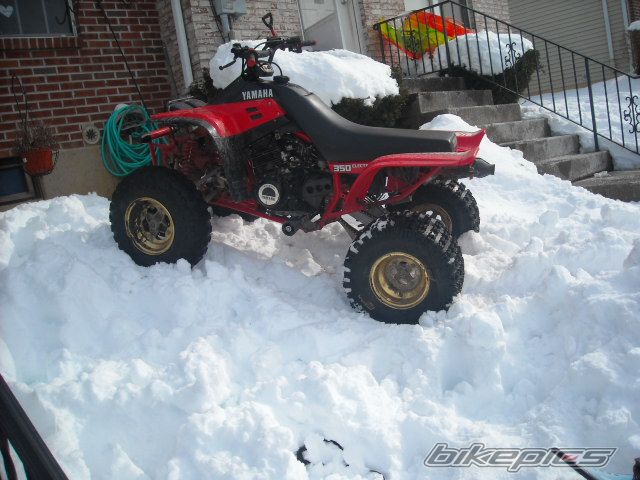 Photo 2183081