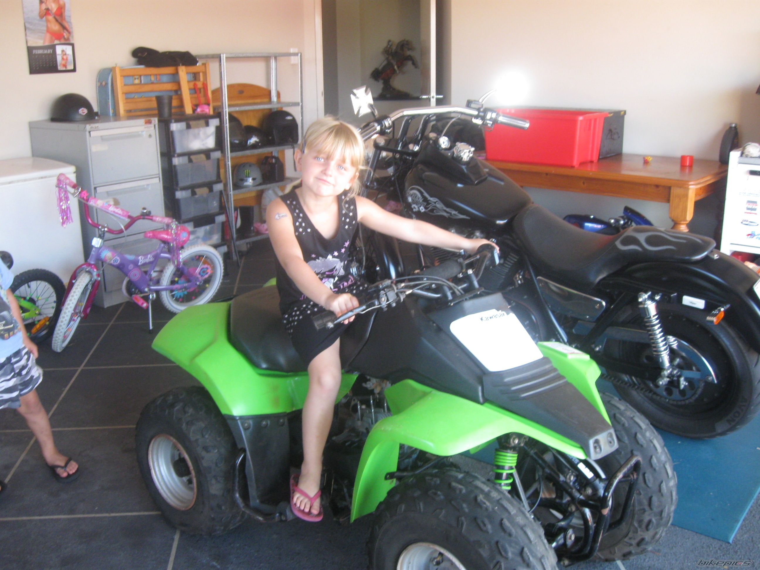 Kfx 80