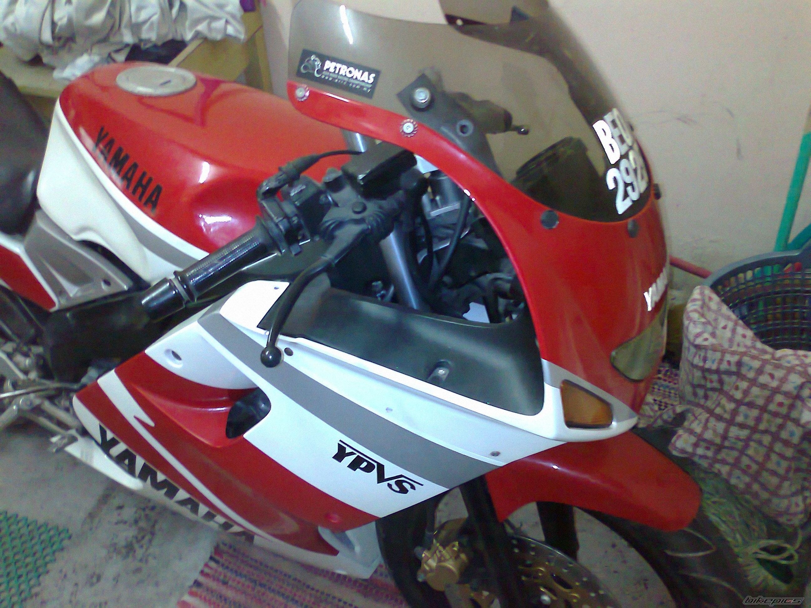 Photo 2183348